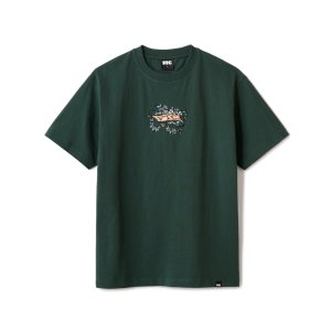 画像: FTC/VINES T  GREEN