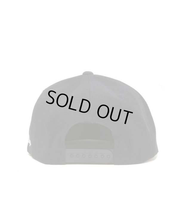 画像3: ROTTWEILER/HORSE CAP  BLACK