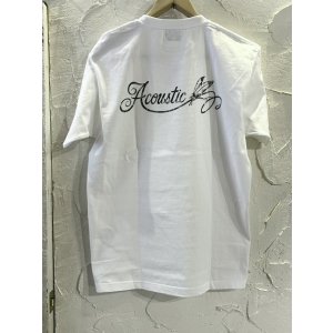 画像:  ACOUSTIC/NOMADIC  WHITE