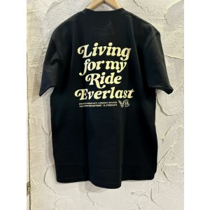 画像:  ACOUSTIC/EVERLAST  BLACK