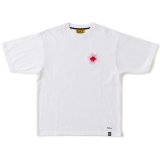 画像: FAT/N.T. ENRAI  WHITE