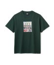 画像1: FTC/SHOP  F.GREEN
