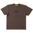 画像1: FAT/SOURCE  C.GRAY