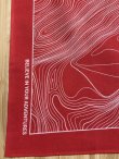 画像2: NANGA/PARBAT CONTOUR MAP BANDANA  RED