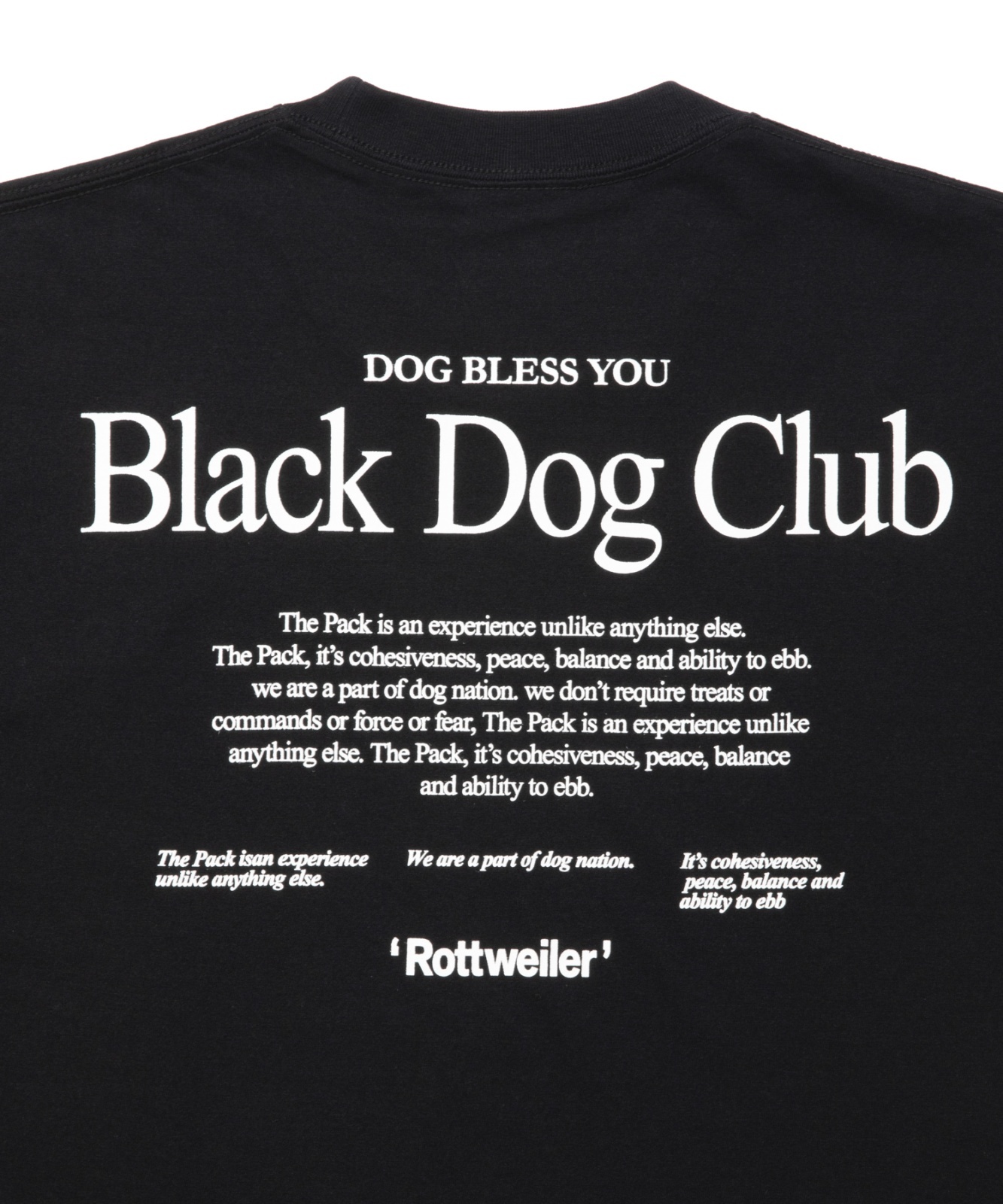 画像4: ROTTWEILER/RW T  BLACK