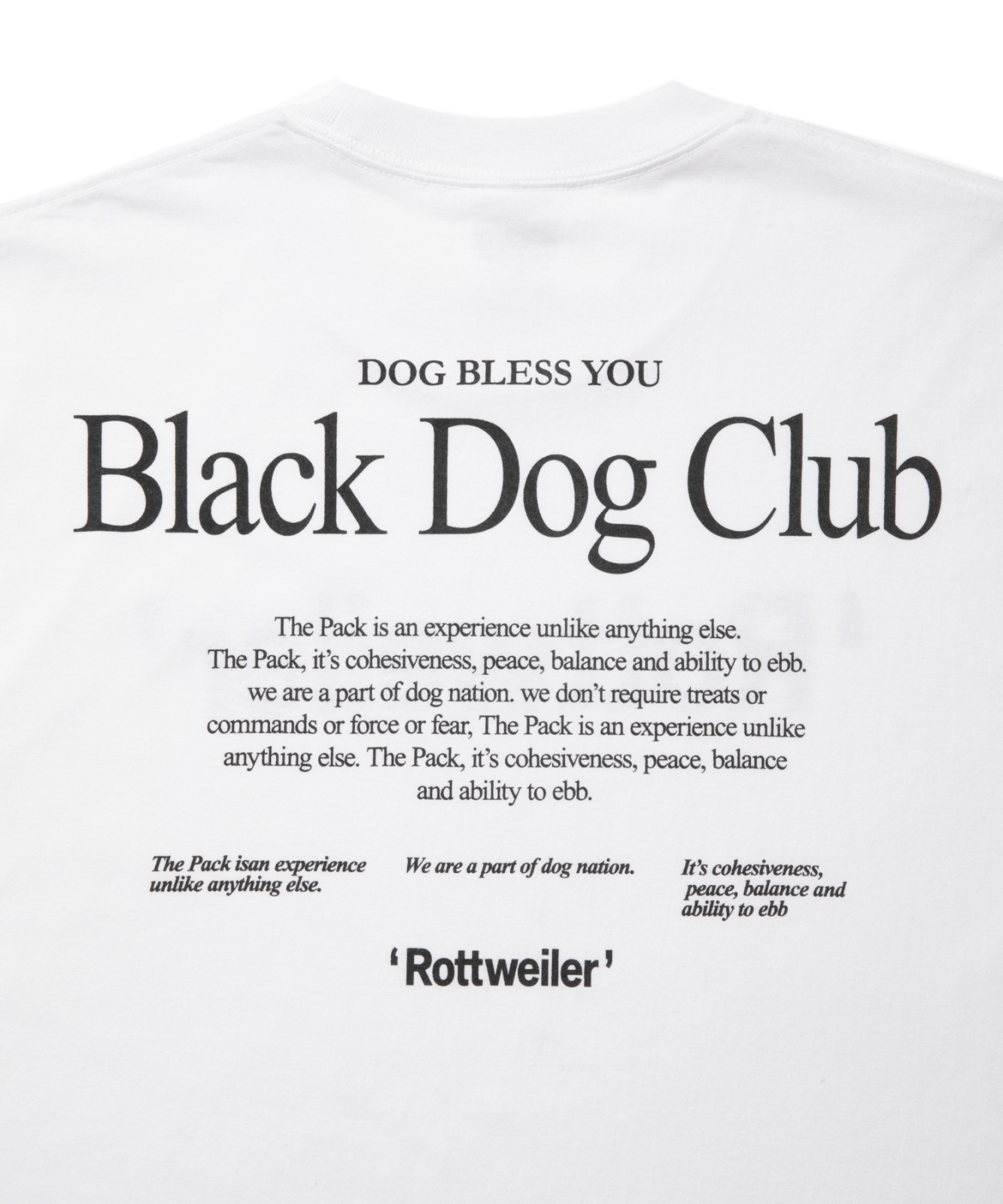 画像4: ROTTWEILER/RW T  WHITE