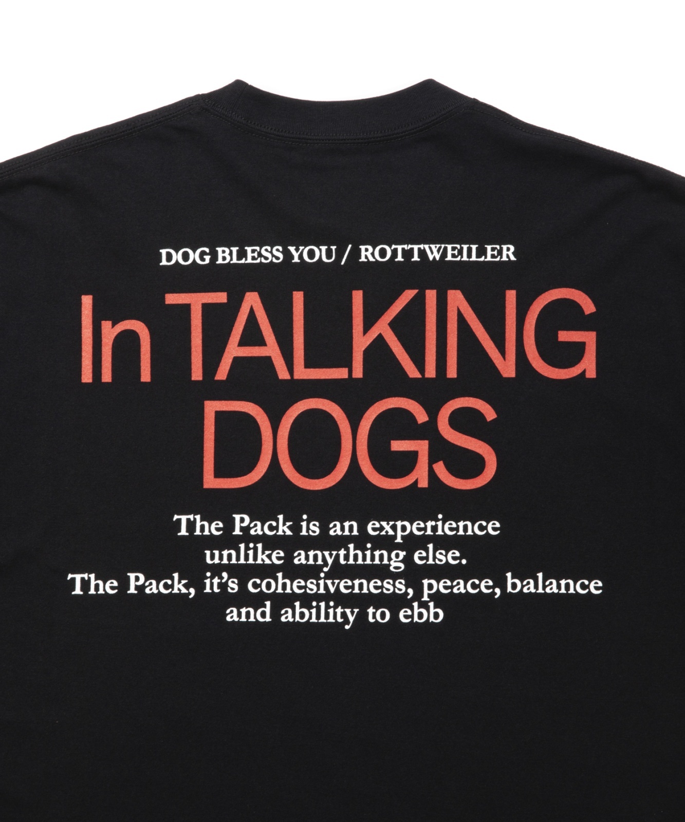 画像4: ROTTWEILER/CAL NIGHT PHOTO T  BLACK