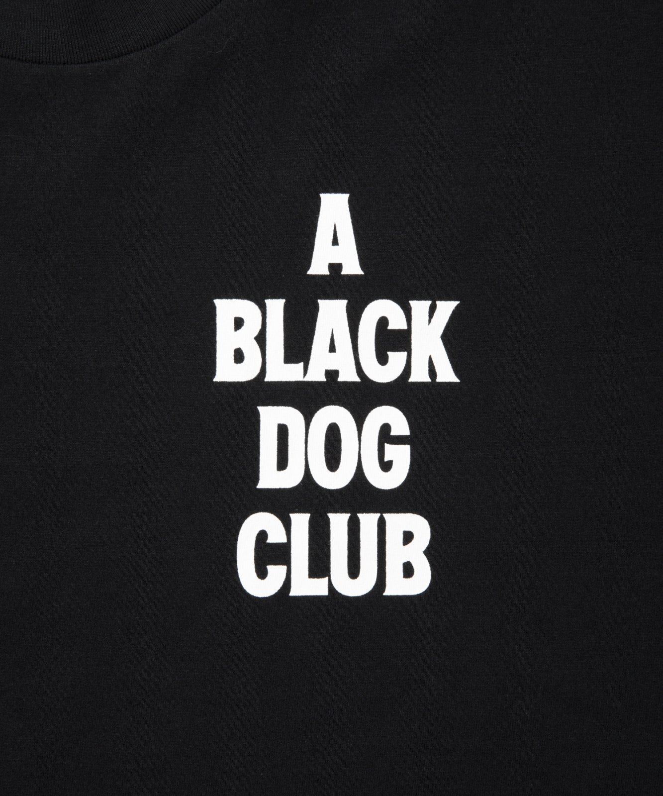 画像4: ROTTWEILER/B.D.C T  BLACK