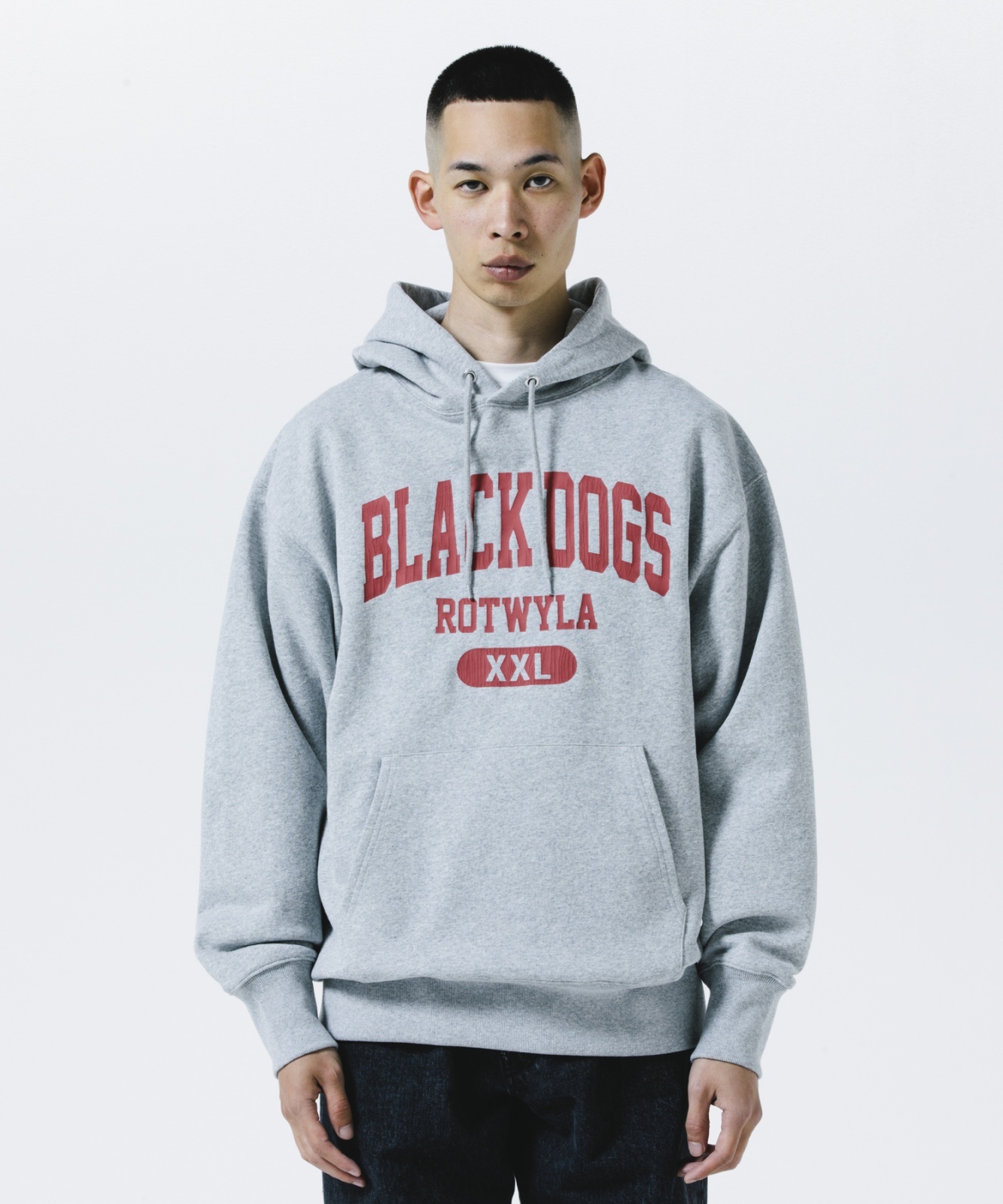 画像3: ROTTWEILER/BD XXL PARKA  GRAY