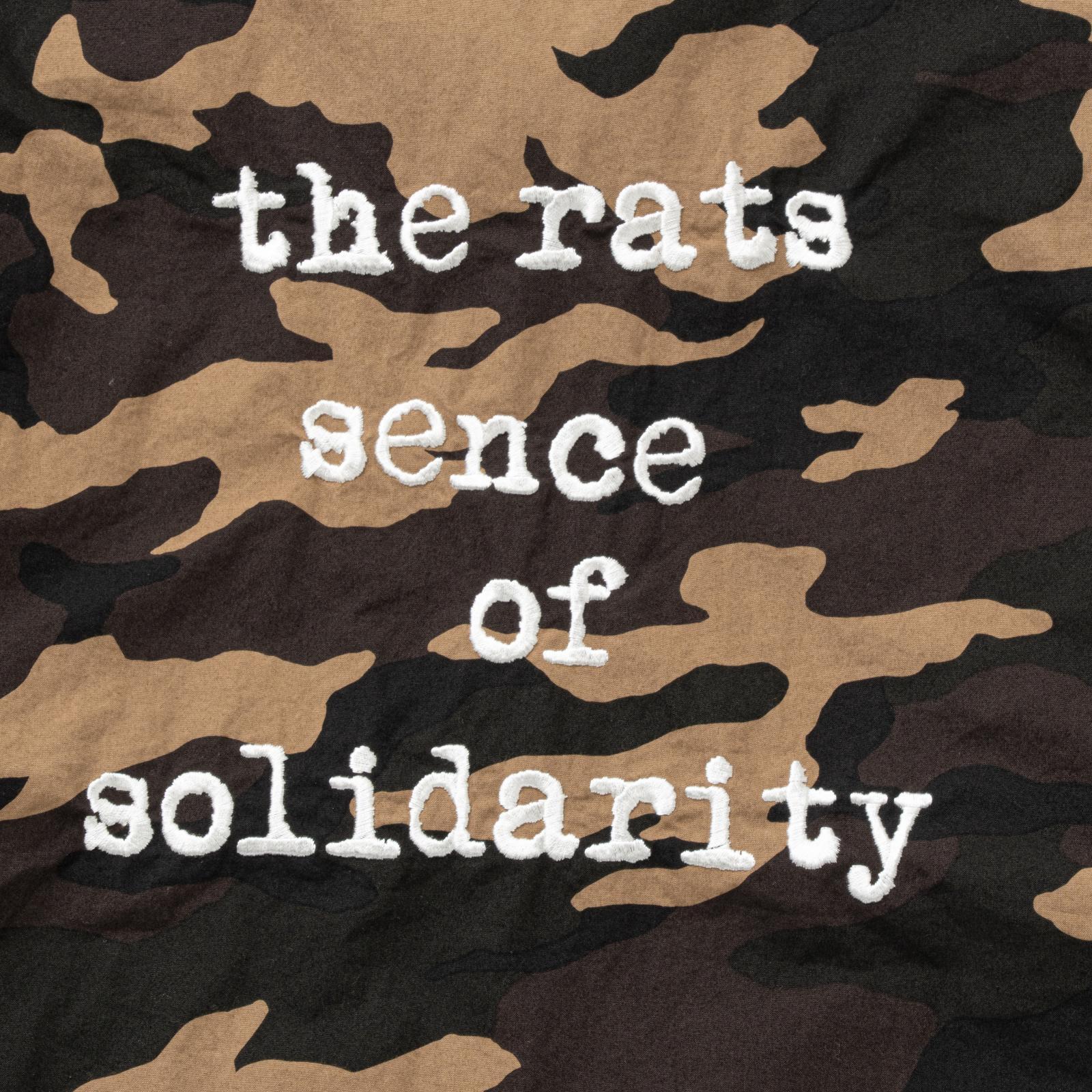 画像3: RATS/CAMO COACH JKT  CAMO